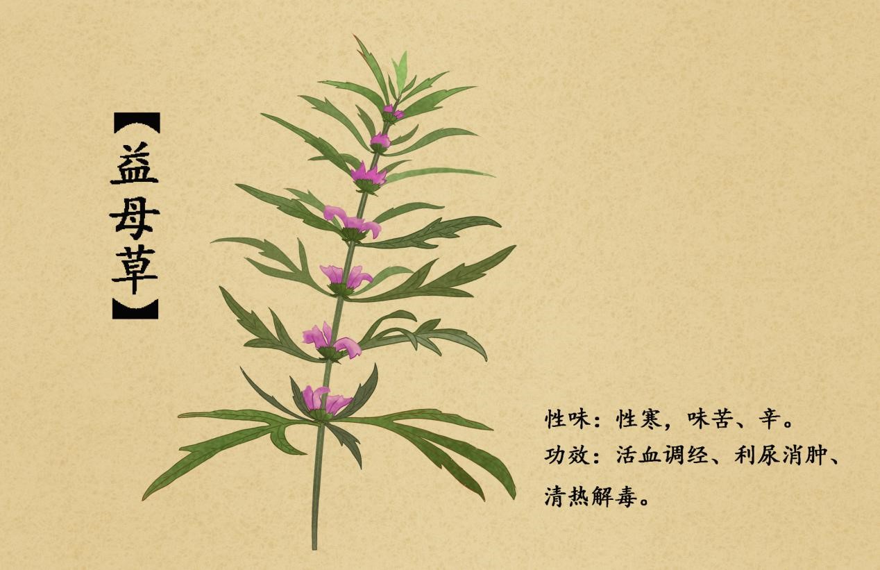 气血不足如何补气血,气血不足要吃什么来补气血