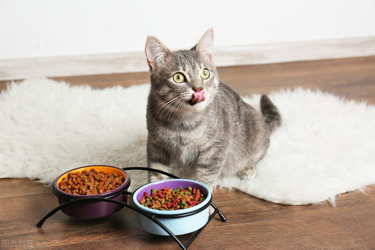 猫咪能吃的人类零食,猫咪咬过的食物还能吃吗