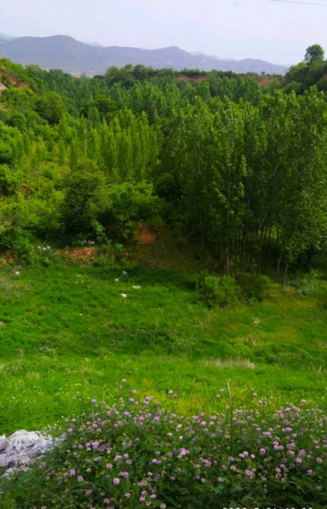 咸阳纳凉避暑好去处免费,西安咸阳避暑纳凉好去处