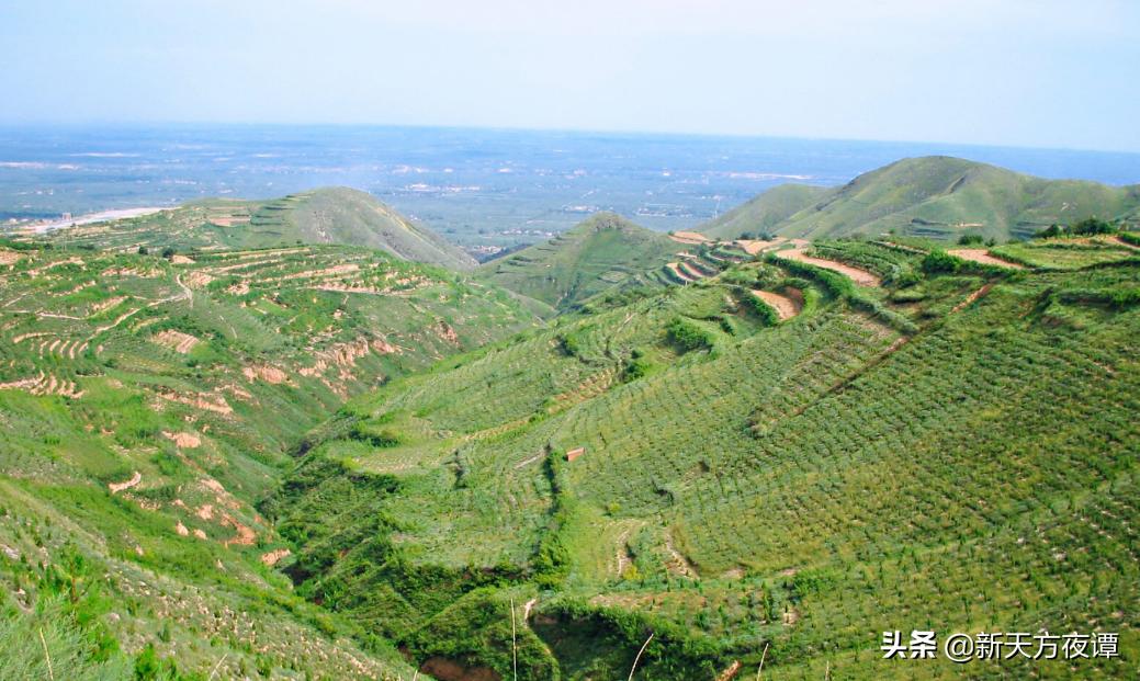 国家植树造林,世界植树造林国家排行榜