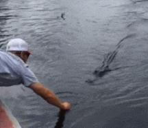 搞笑gif开心一刻单身也挺好,搞笑gif开心视频