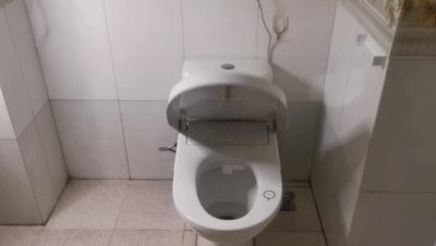 舒服如厕的正确打开方式,如厕通畅小妙招