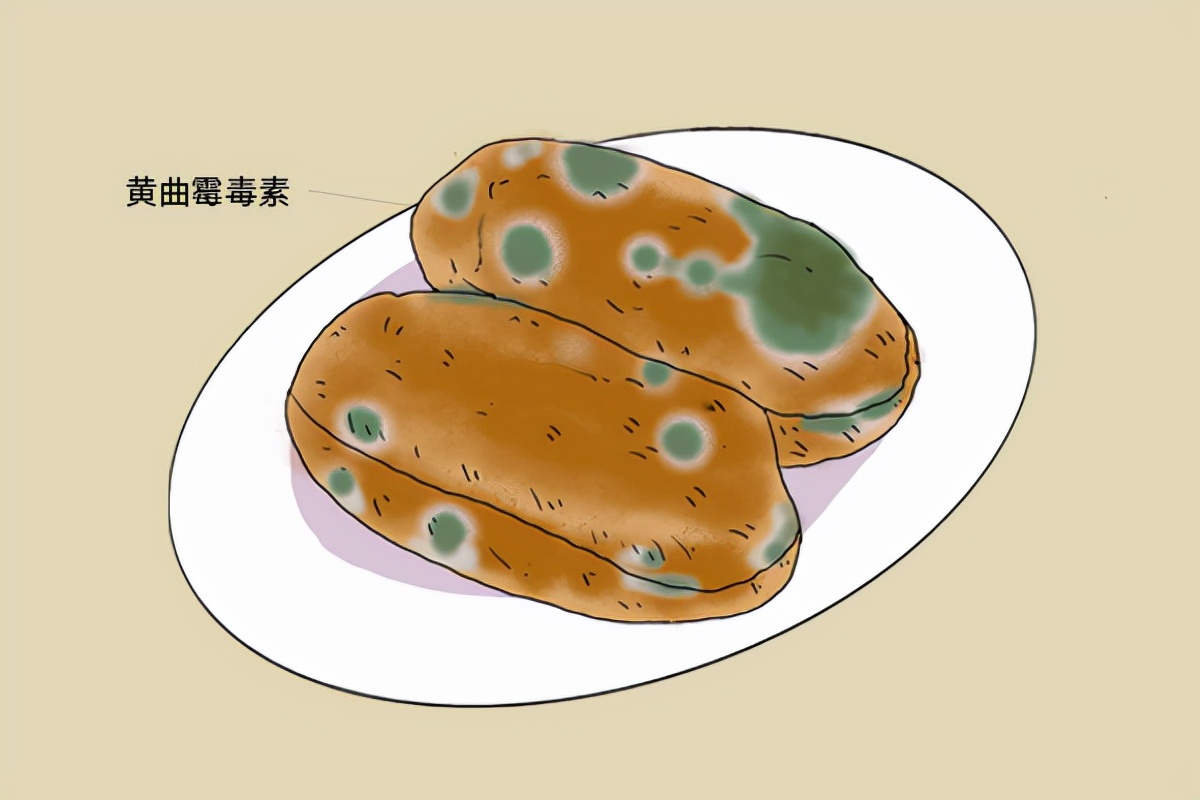 吃板栗好时节,吃板栗的季节