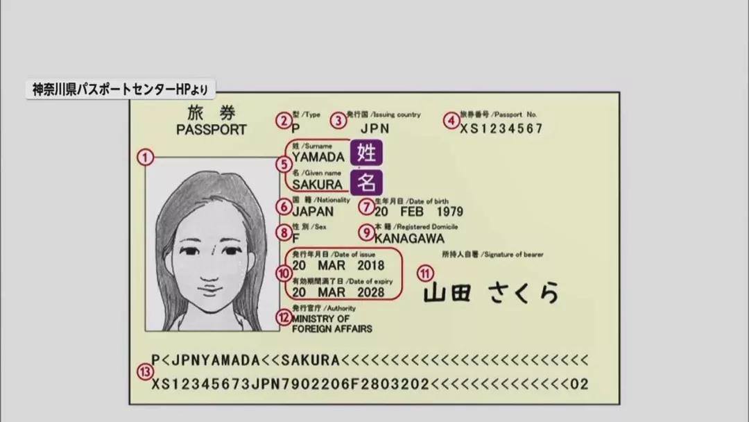 2020年去日本旅游要关注什么,来日本旅游必须知道的冷知识