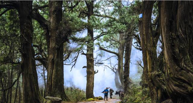 待疫情过后我们一起去南昌,疫情期间建议坐高铁出行
