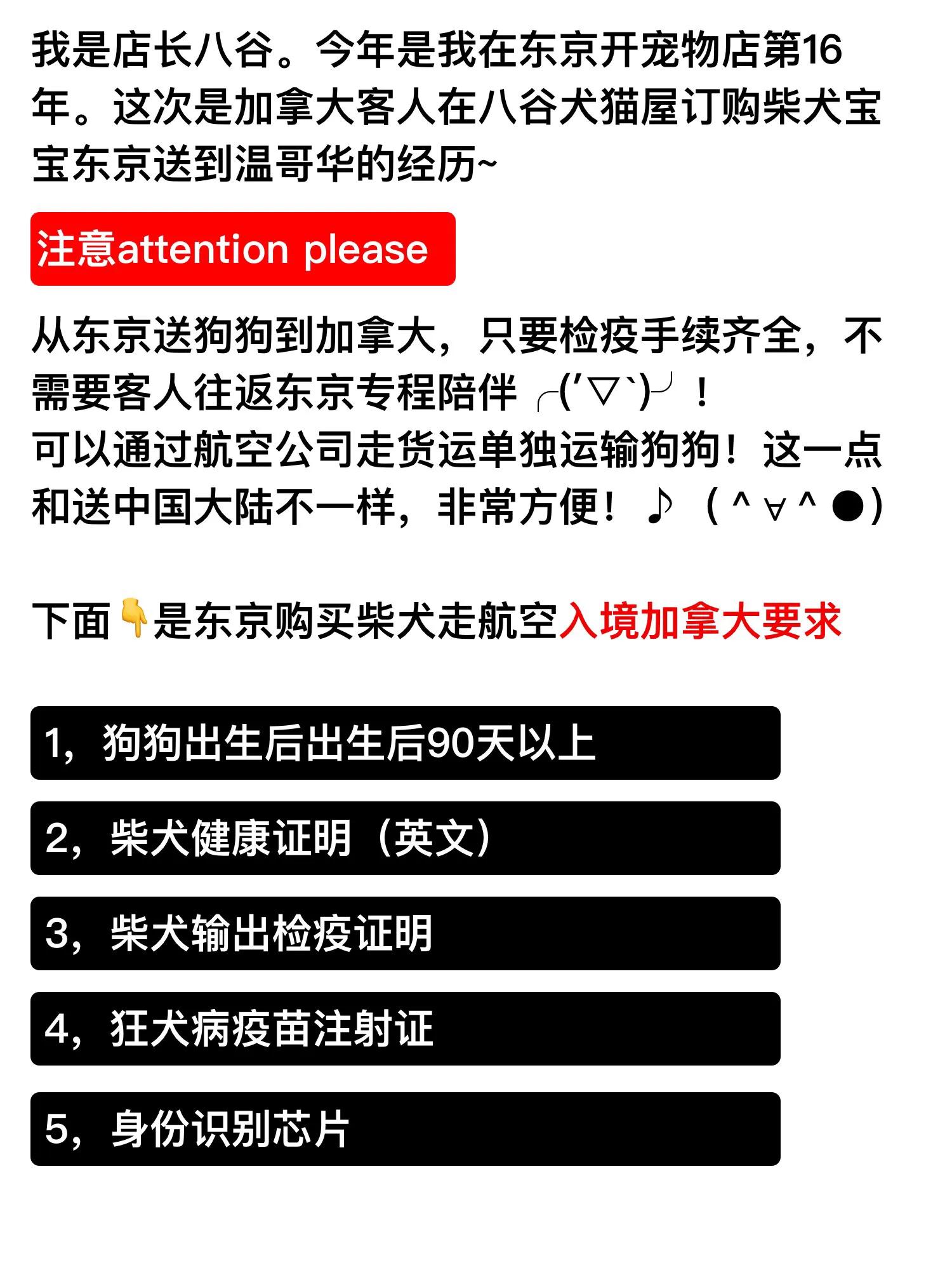 柴犬马来西亚哪里能买到,柴犬购买线下渠道
