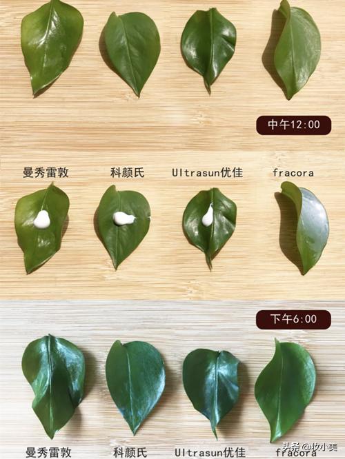 夏季防晒推荐最新爆款,夏季防晒必备款有哪些品牌