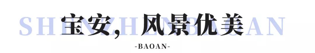 住在宝安中心,羡慕住在宝安的人