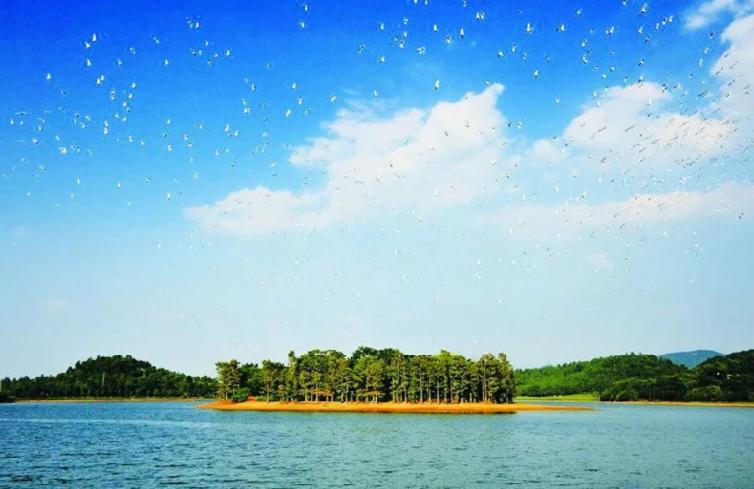 广东佛山去西藏自驾游景点,广东佛山自驾游的地方推荐