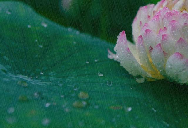 倪海厦看诊讲座视频,倪海厦问诊心得