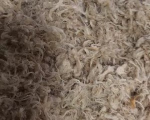 猪肉松厨师机,猪肉松制作机