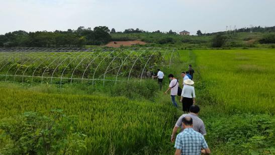 残联下乡帮扶残疾人家庭,武汉残联2020年对残疾人帮扶行动