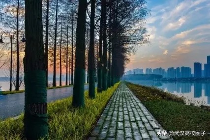 武汉东湖游玩攻略骑行路线,来武汉东湖绿道打卡玩法全攻略
