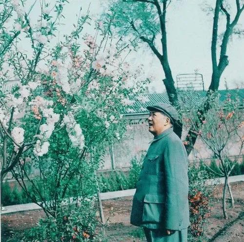 厨师韩阿富：炒毛*东泽**鱿鱼，为毛*东泽**烧菜23年，否认自己是名厨