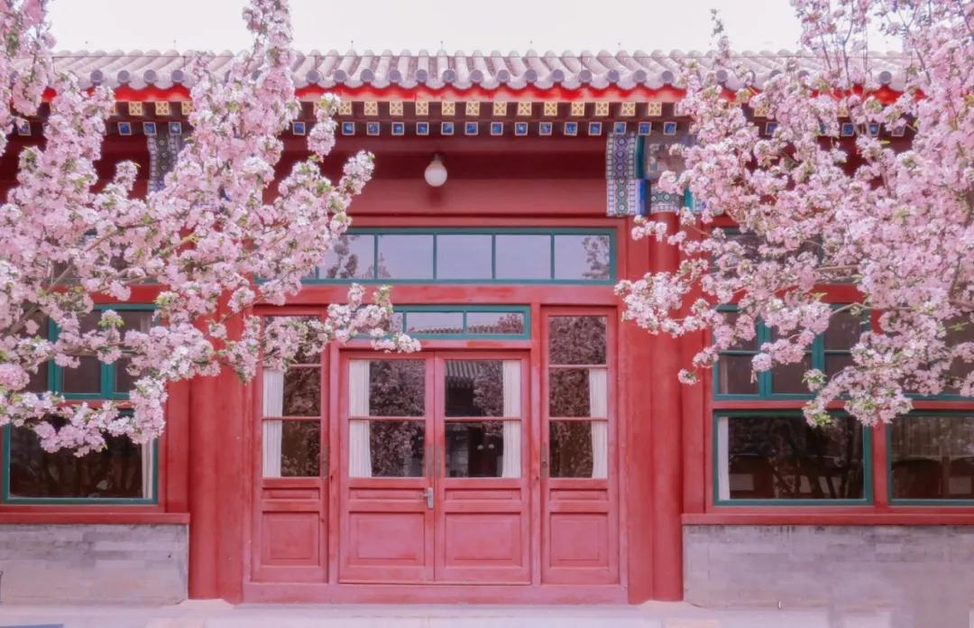 一个不出郑州的踏青好去处,天津春游公园推荐