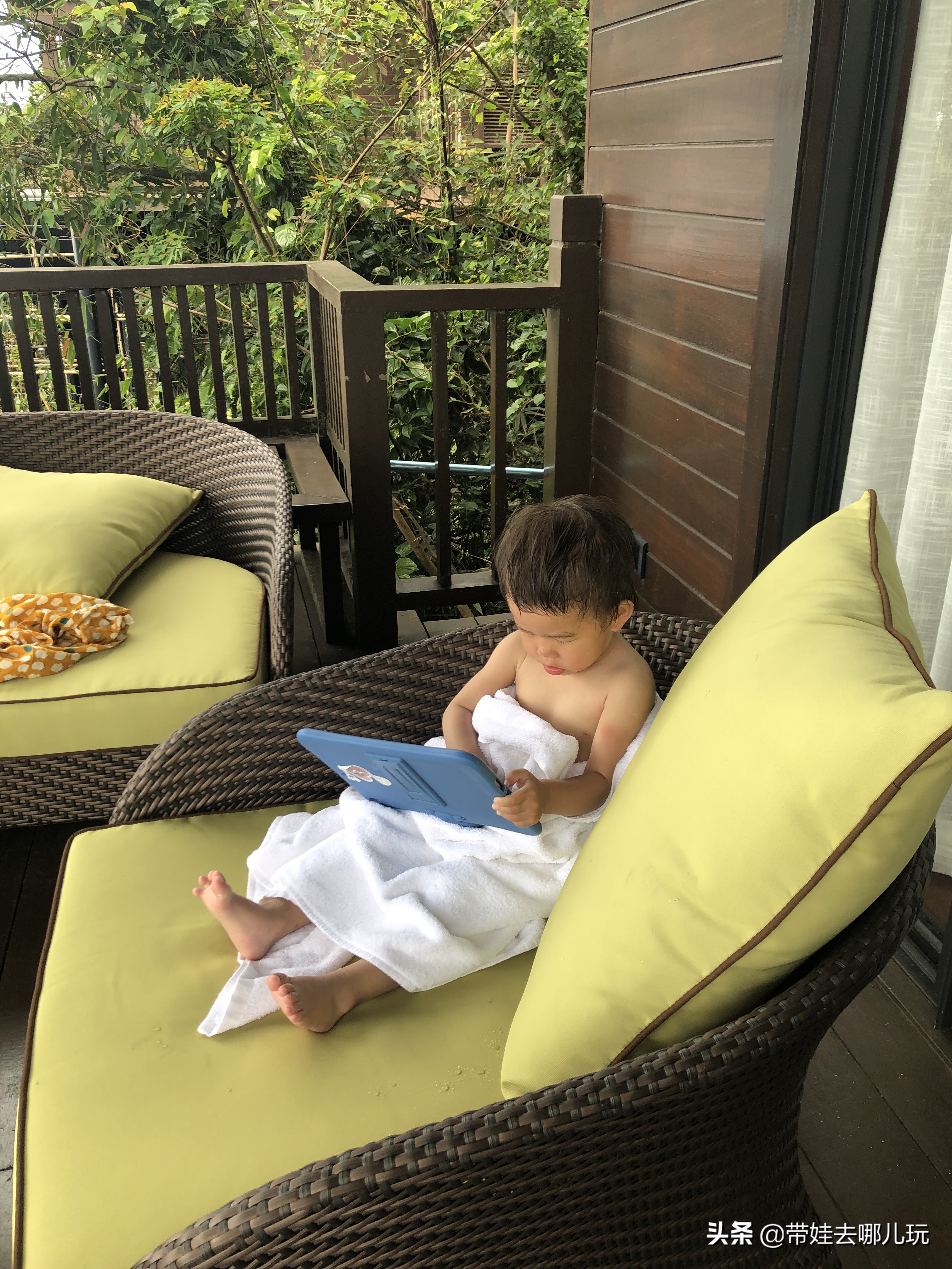 住三亚亚龙湾鸟巢酒店,亚龙湾森林热带天堂非诚勿扰