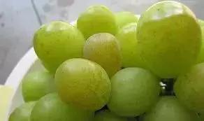 葡萄长锈斑怎么回事,怎样才能防止葡萄烂果