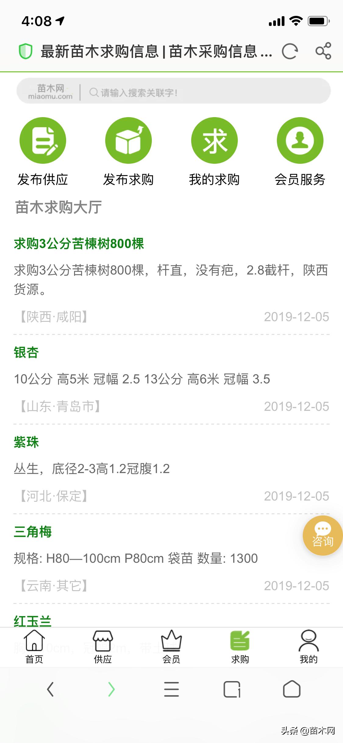 公司自己种植的苗木出售,种植苗木如何找销路