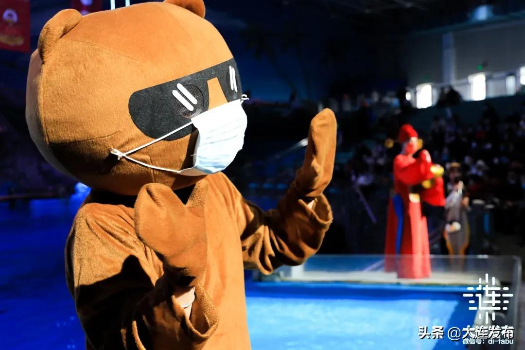 大连旅游景点三天两夜攻略,大连旅游全攻略免费景区