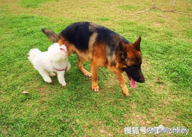 三水奥特莱斯探秘,新昌奥特莱斯是佛罗小镇吗