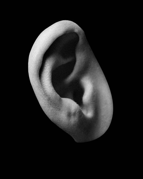 布里斯托城足球俱乐部英超,布里斯托尔城足球俱乐部logo