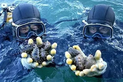 沈阳周边最美海岛大合集，今年夏天避暑就靠它们了