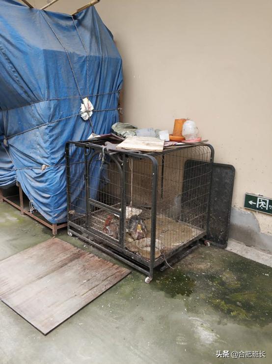 合肥京商商贸城最新发展消息,合肥京商商贸城现状位置