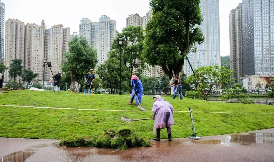 花果园湿地公园美图,花果园湿地公园高清风景