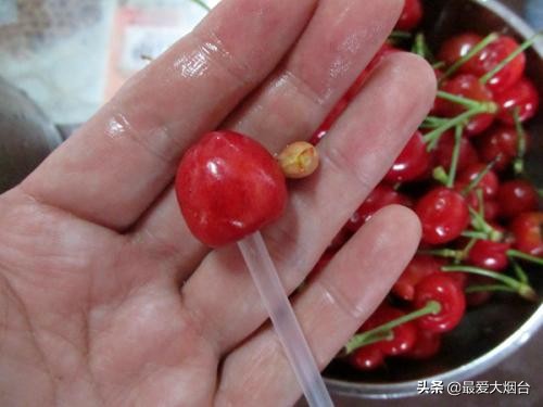 樱桃酱的制作方法野樱桃,樱桃酱家庭自制步骤和方法