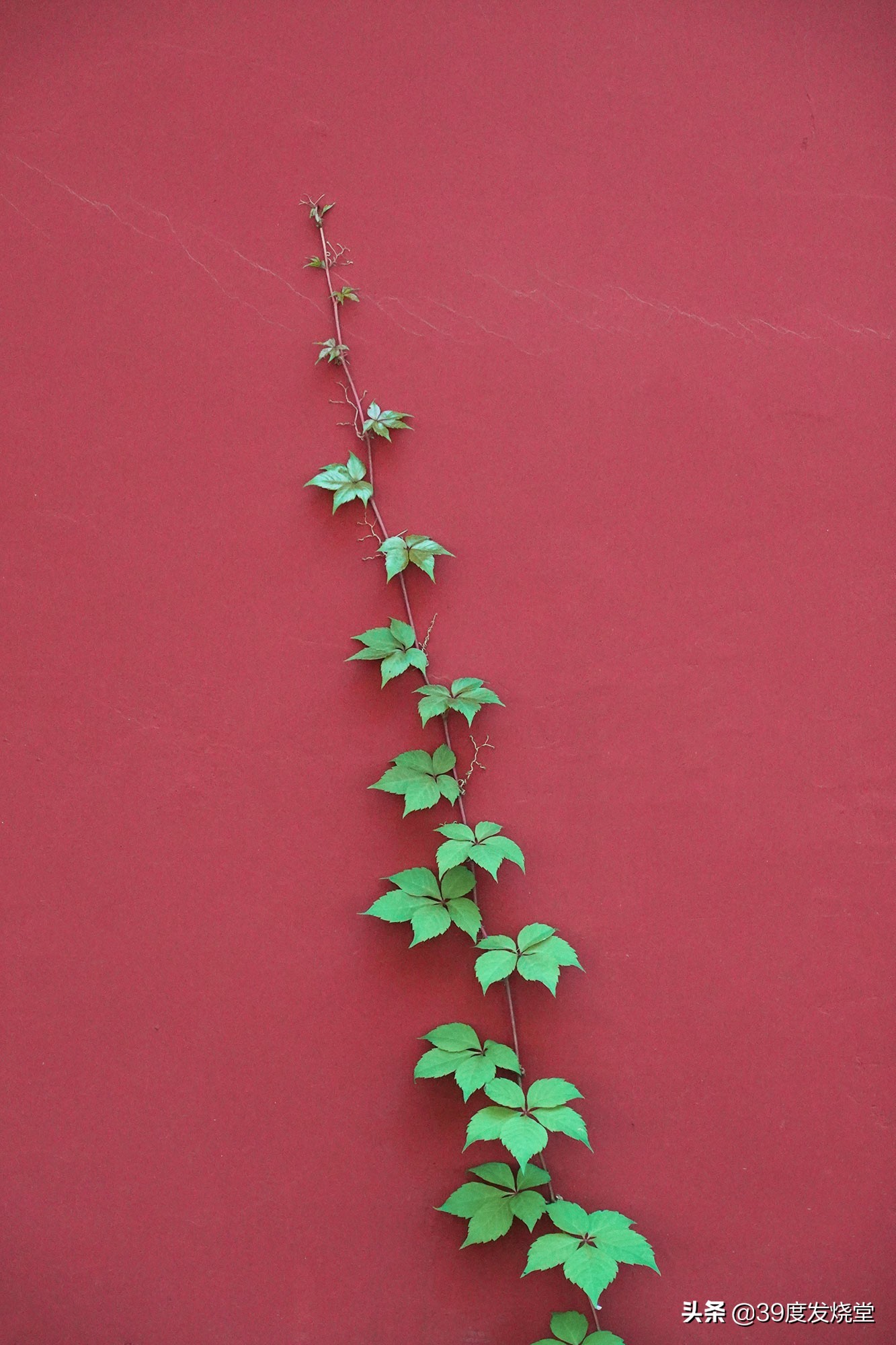 索尼黑卡7评测升级2.0系统,索尼黑卡7有超广角镜头吗