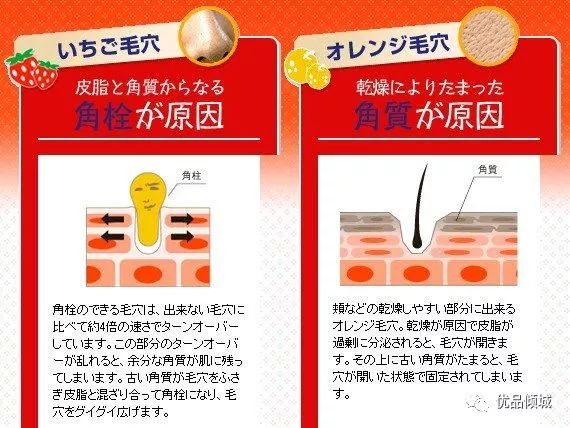 日本必买的十大良心产品,日本本土真正有人气的平价商品