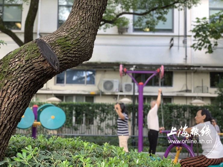 魔都100：藏在静安市中心最袖珍的公园重温老上海的儿时记忆