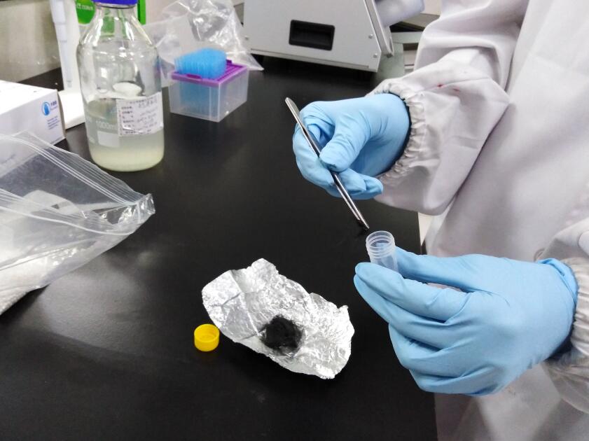 毛发检测毒主要是检测哪里的毛发,毛发检测毒可以查哪几种