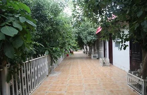 阿克苏最新消息今天新闻,阿克苏市新闻最新消息