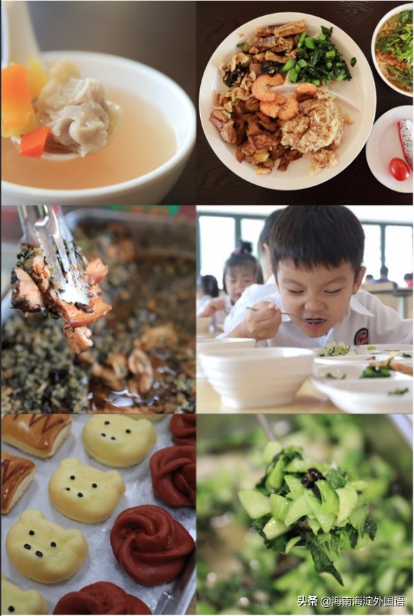 招募爱运动的小朋友,招募爱运动的伙伴们