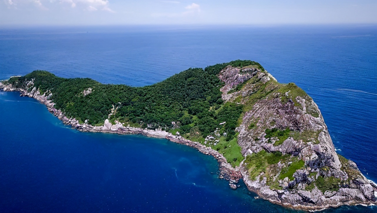 巴西蛇岛有4000条毒蛇,蛇岛巴西密密麻麻的蛇