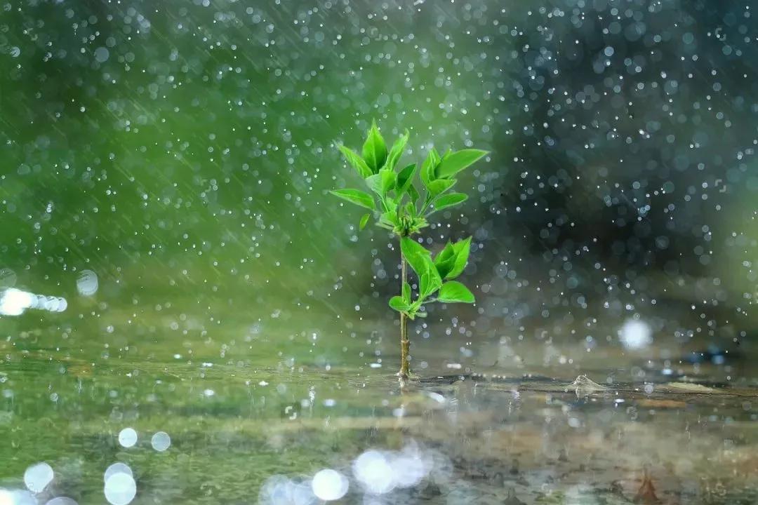 100句美到可以签名的诗句,美到极致的签名诗句