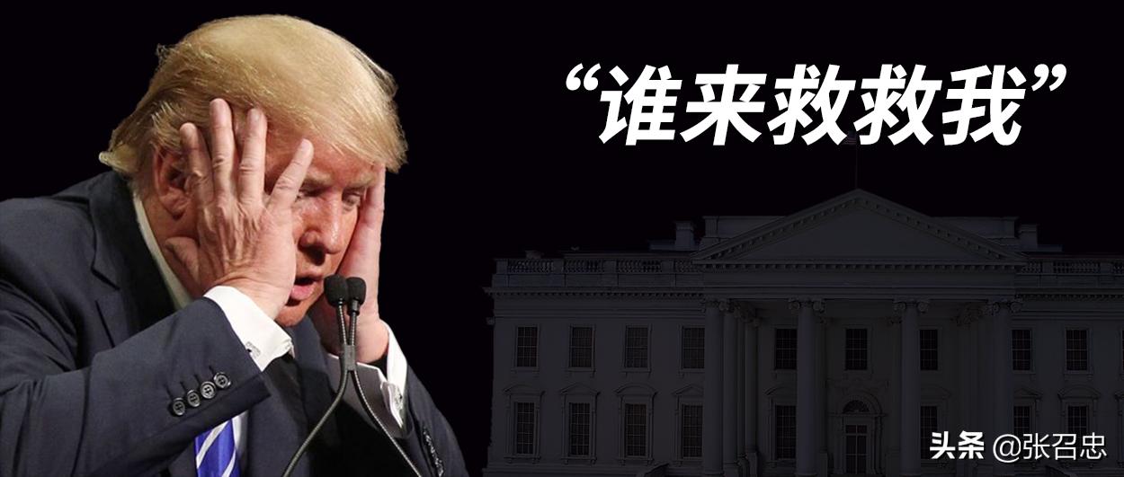 华盛顿军队和警卫队,华盛顿的国民卫队