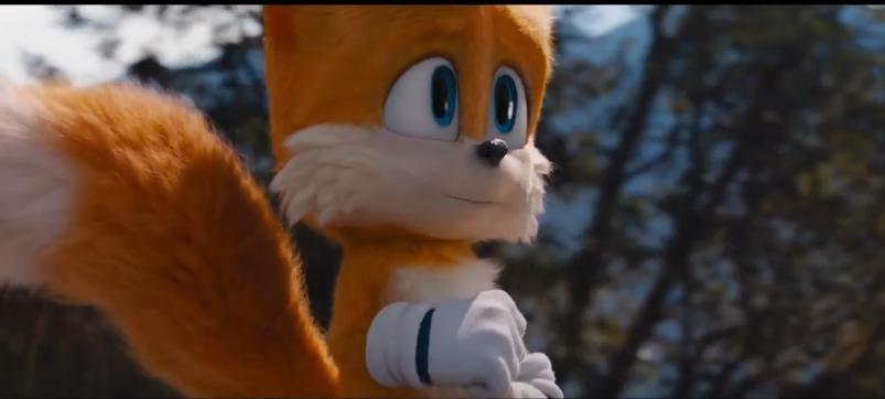 可爱刺猬索尼克,刺猬索尼克原本样子