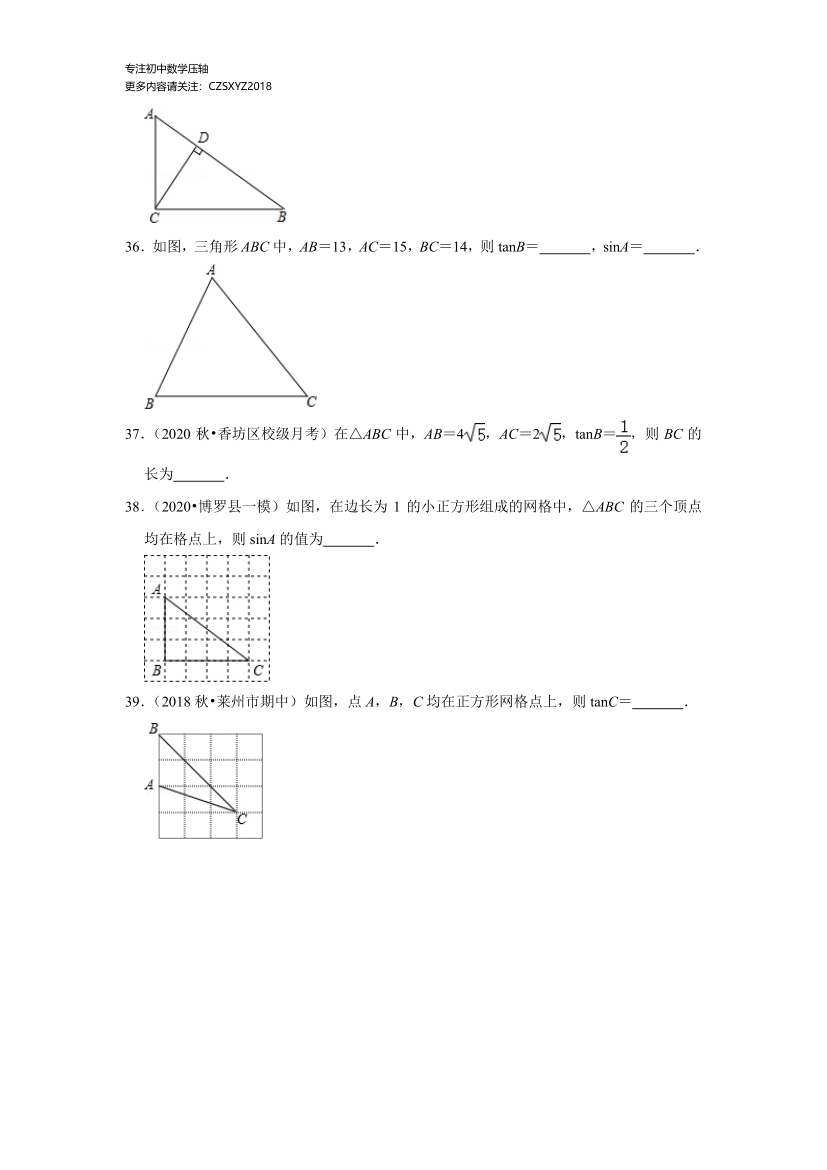 初三中考数学重要知识点：三角函数的专项题型汇总练习（二）