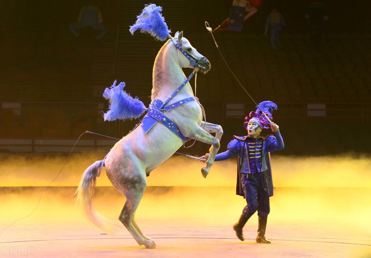 广州长隆欢乐世界地图,广州长隆欢乐世界过山车