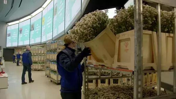 世界第一鲜花市场视频,bbc探秘墨西哥毒品战争