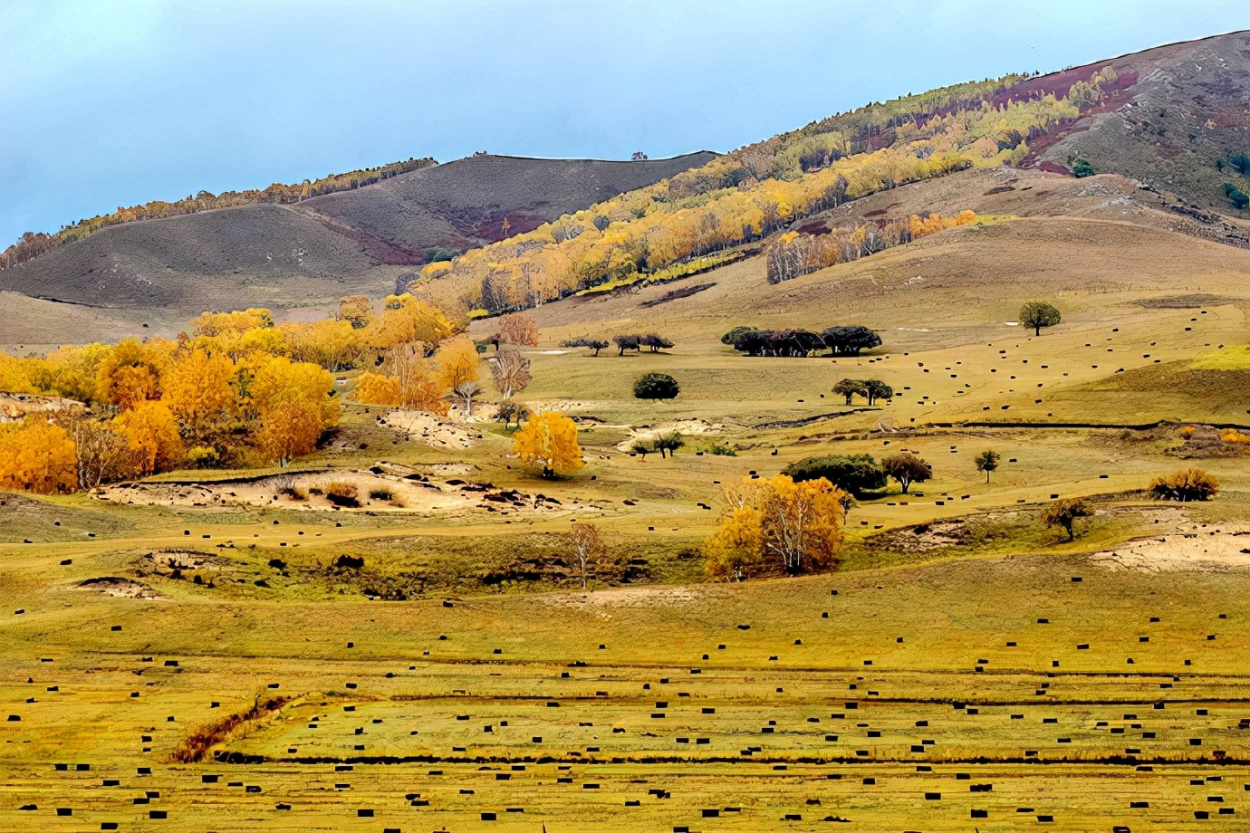 行摄美景,行摄塞外美景