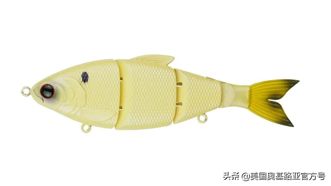 2024全国渔具展会一览表最新,2022年全国渔具展在哪