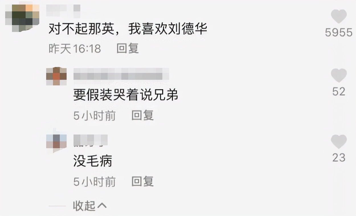 冲动的惩罚那英完整版,那英被点评