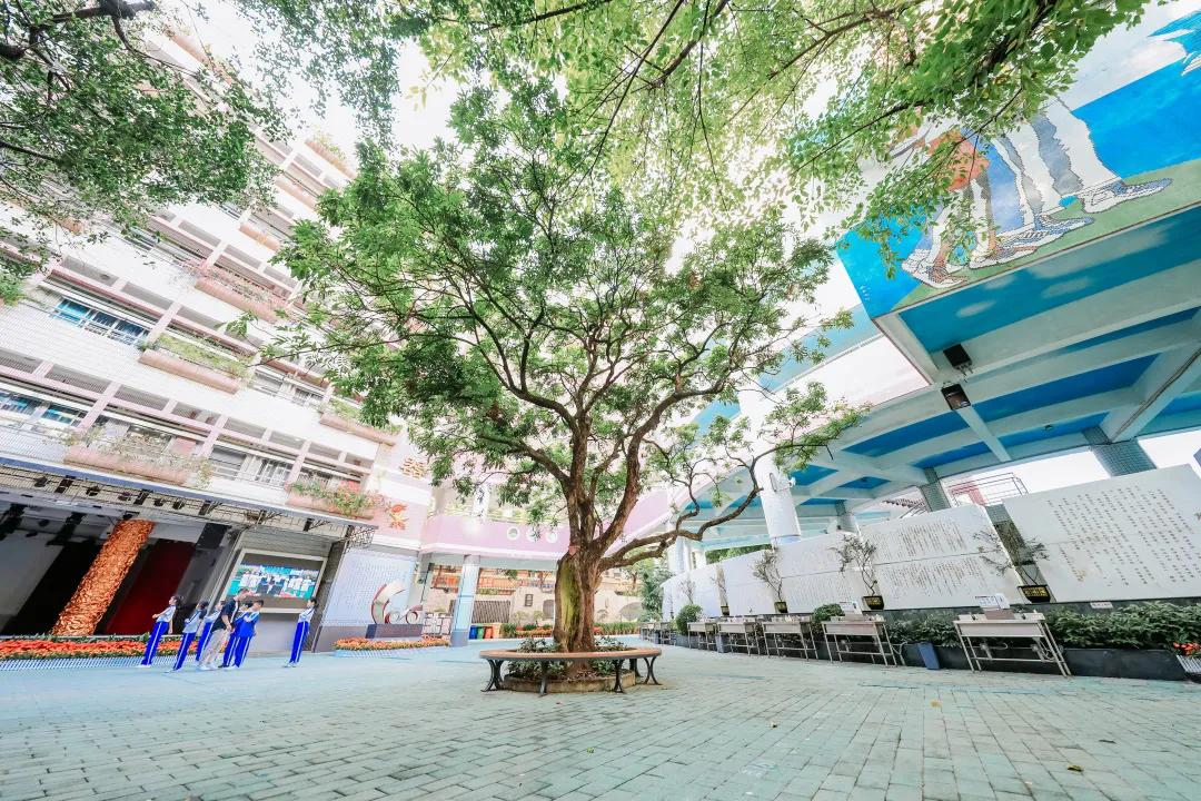 漫游东游西荡,漫游深圳城市