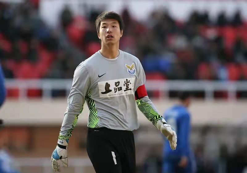 激情燃烧的岁月87,荷兰足球2010世界杯黄金一代