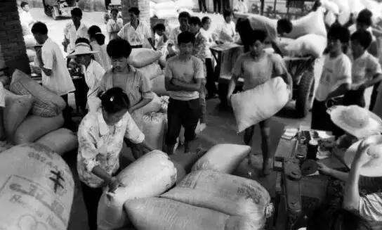 还记得当年缴公粮的场景吗,谁还记得当年交公粮的场景