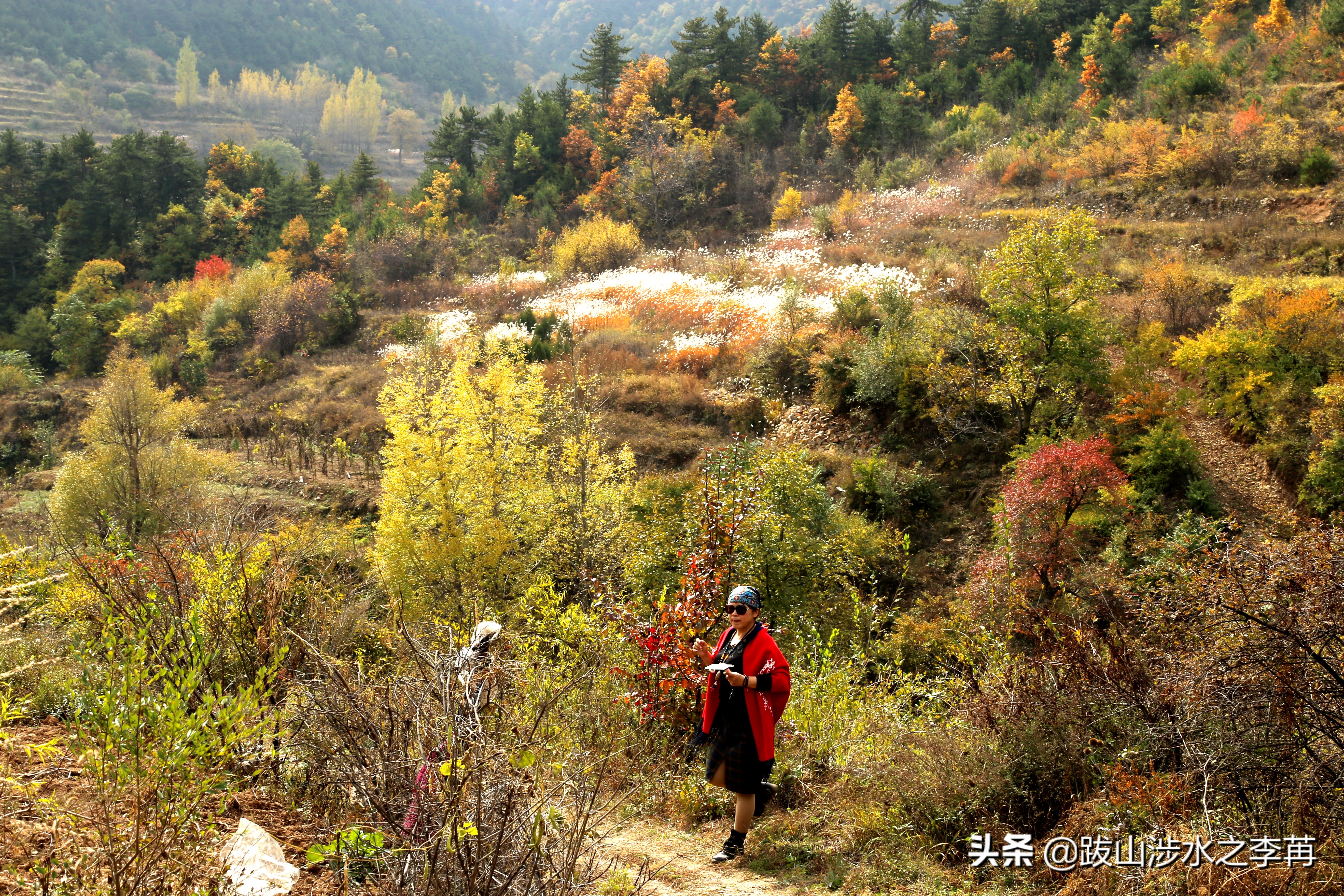 深藏在太行山中的古村落竹林沟,深山沟里的绝世古村