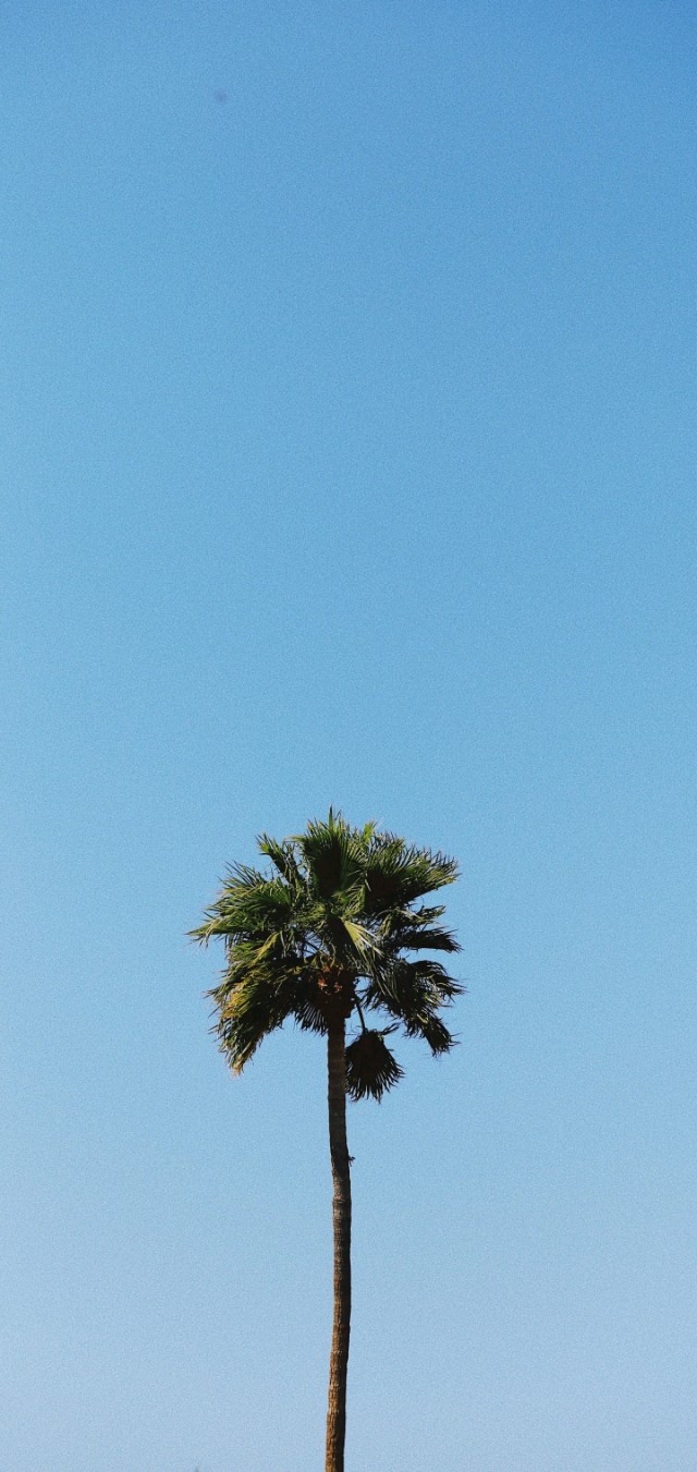 高清壁纸风景人物,手机壁纸汽车风景